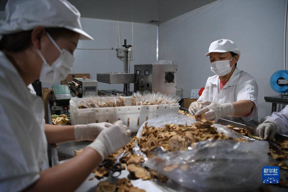 大富翁10单机版下载